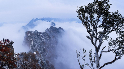 中審潤(rùn)奧為沁陽(yáng)市神農(nóng)山景區(qū)旅游基礎(chǔ)設(shè)施綜合提升（安全基礎(chǔ)設(shè)施提升）EPC項(xiàng)目提供招標(biāo)代理服務(wù)